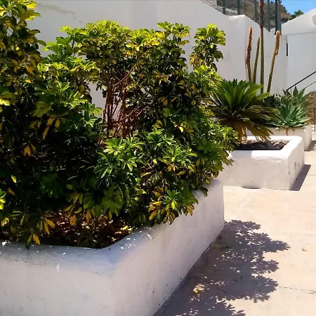 Sunny Days On Gran Canaria Porto Rico