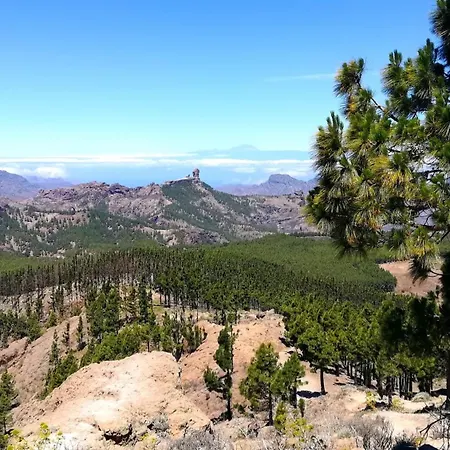 Апартаменты Sunny Days On Gran Canaria