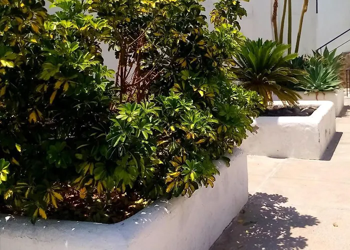 Sunny Days On Gran Canaria Porto Rico