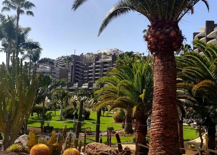 Sunny Days On Gran Canaria * Porto Rico